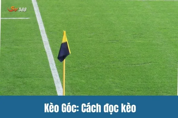 Kèo Góc: Cách đọc kèo và dự đoán chính xác - SV388 bật mí