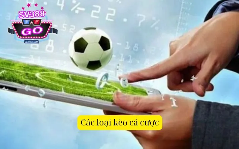 Các loại kèo cá cược