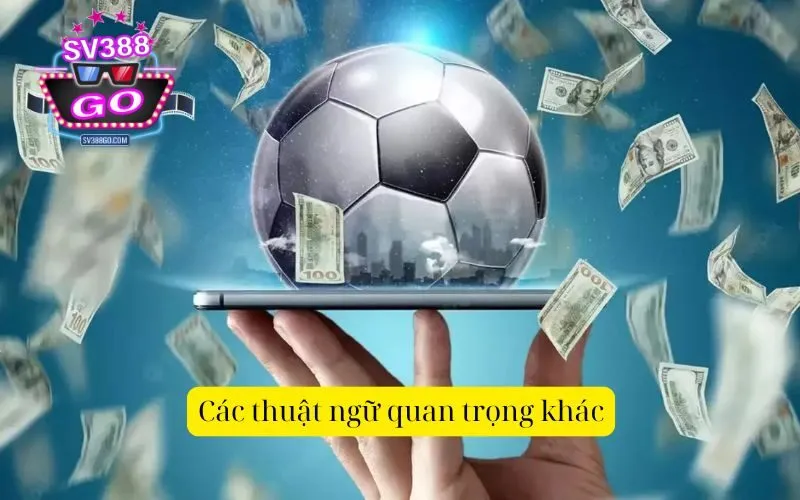 Các thuật ngữ quan trọng khác