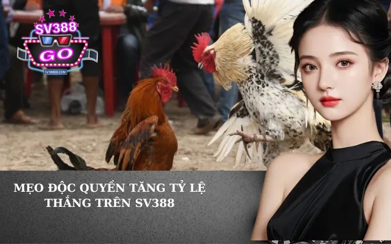 Mẹo Độc Quyền Tăng Tỷ Lệ Thắng Trên SV388