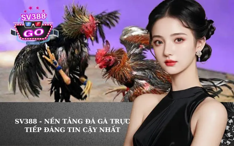 SV388 - Nền Tảng Đá Gà Trực Tiếp Đáng Tin Cậy Nhất