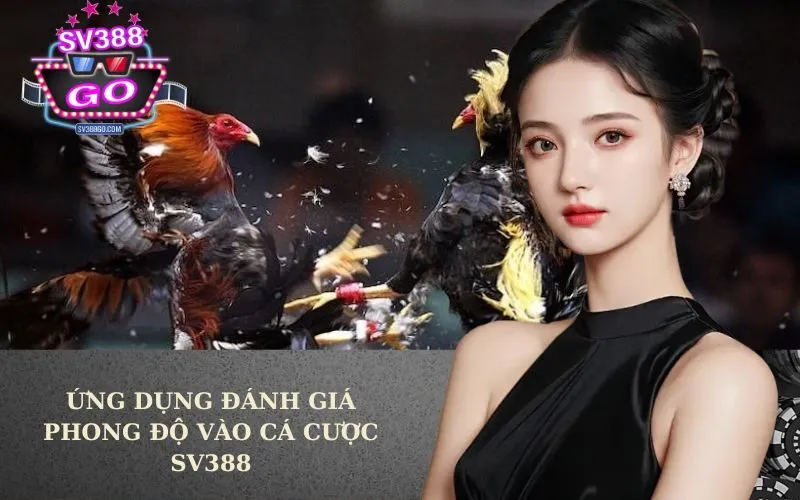 Ứng dụng đánh giá phong độ vào cá cược SV388