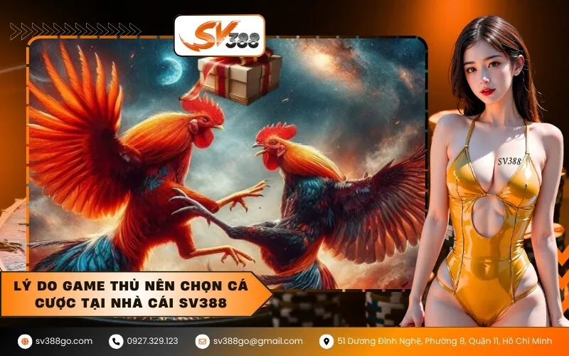 Lý do game thủ nên chọn cá cược tại nhà cái SV388